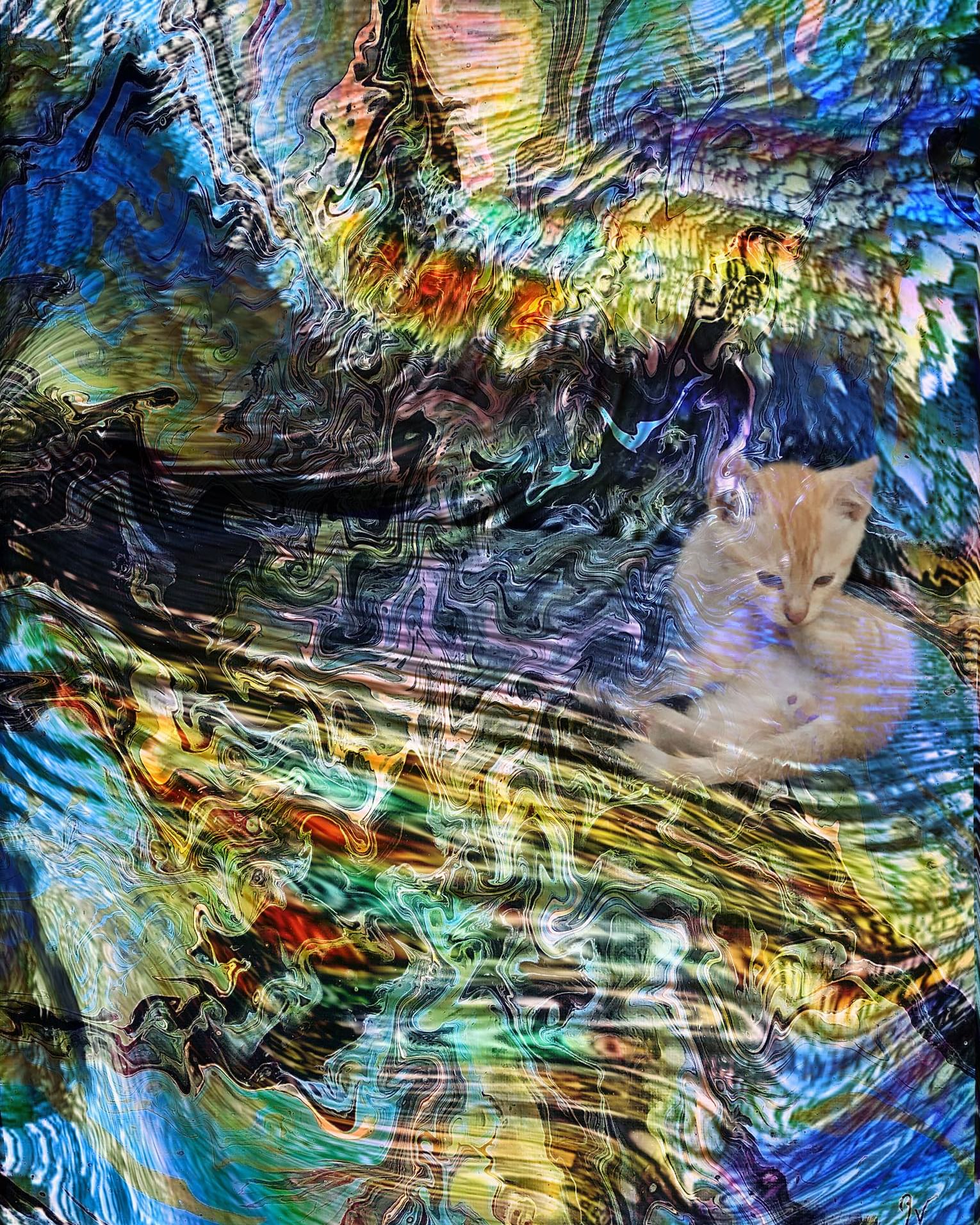 'pussy story they always have something to tell us